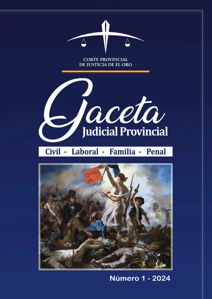 Gaceta Judicial Provincial 2024